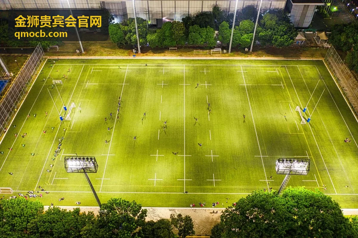 金狮贵宾会高端会务接待场景