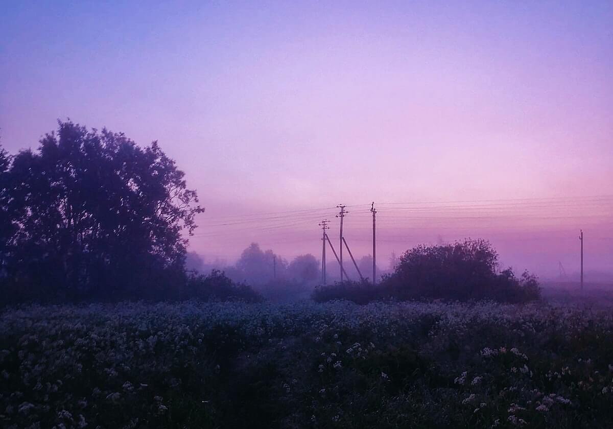 mk体育在线登录入口世俱杯-博塔弗戈2-1西雅图海湾人 伊戈尔-热苏斯建功特莱斯献助攻